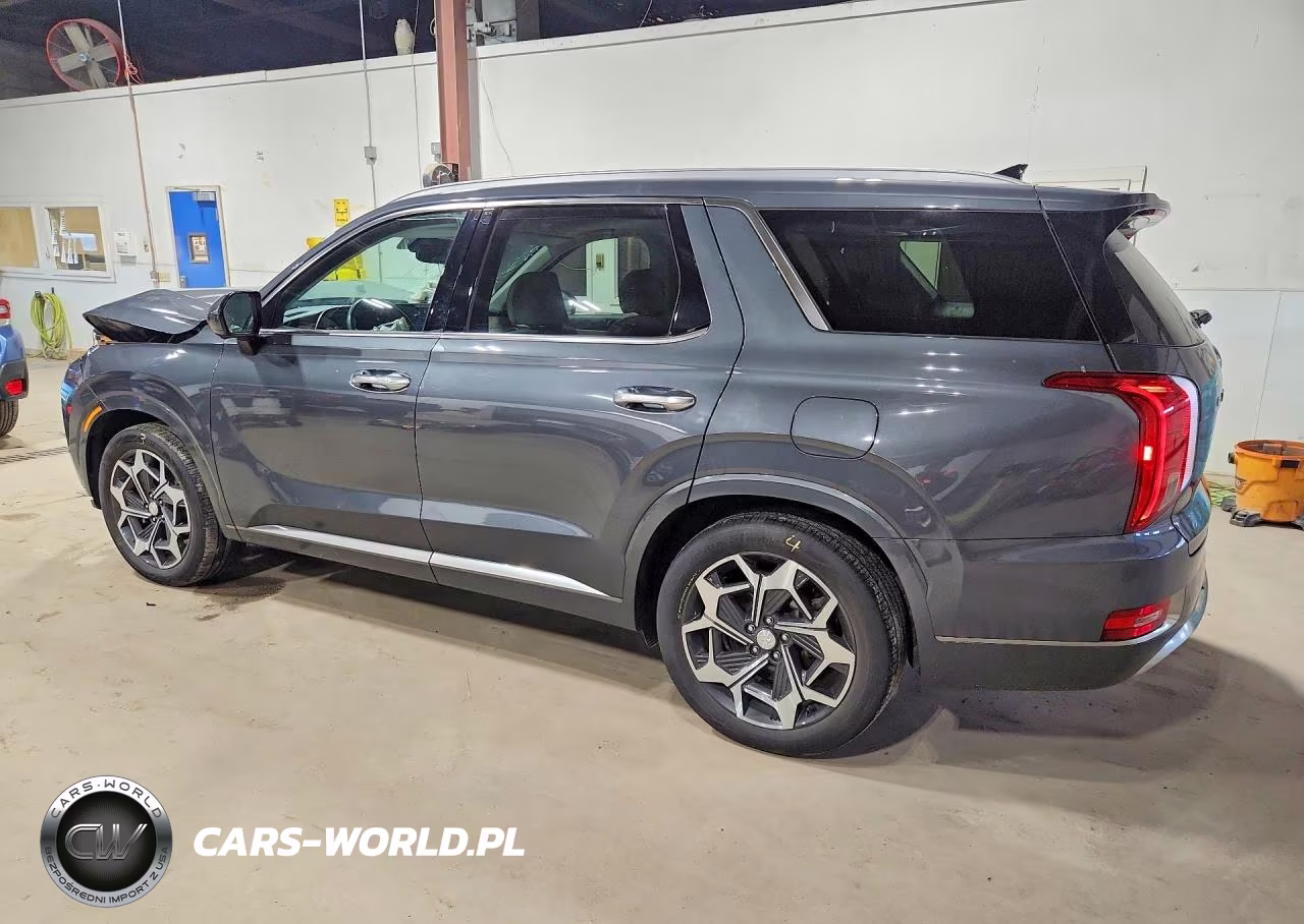 2022 Hyundai Palisade Calligraphy VIN:KM8R7DHE7NU404810 - 2