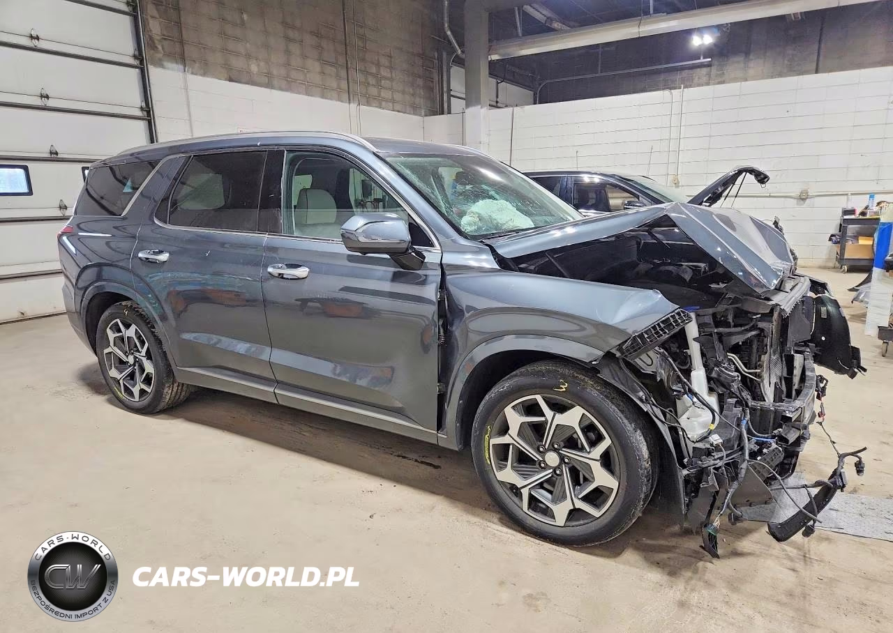 2022 Hyundai Palisade Calligraphy VIN:KM8R7DHE7NU404810 - 4