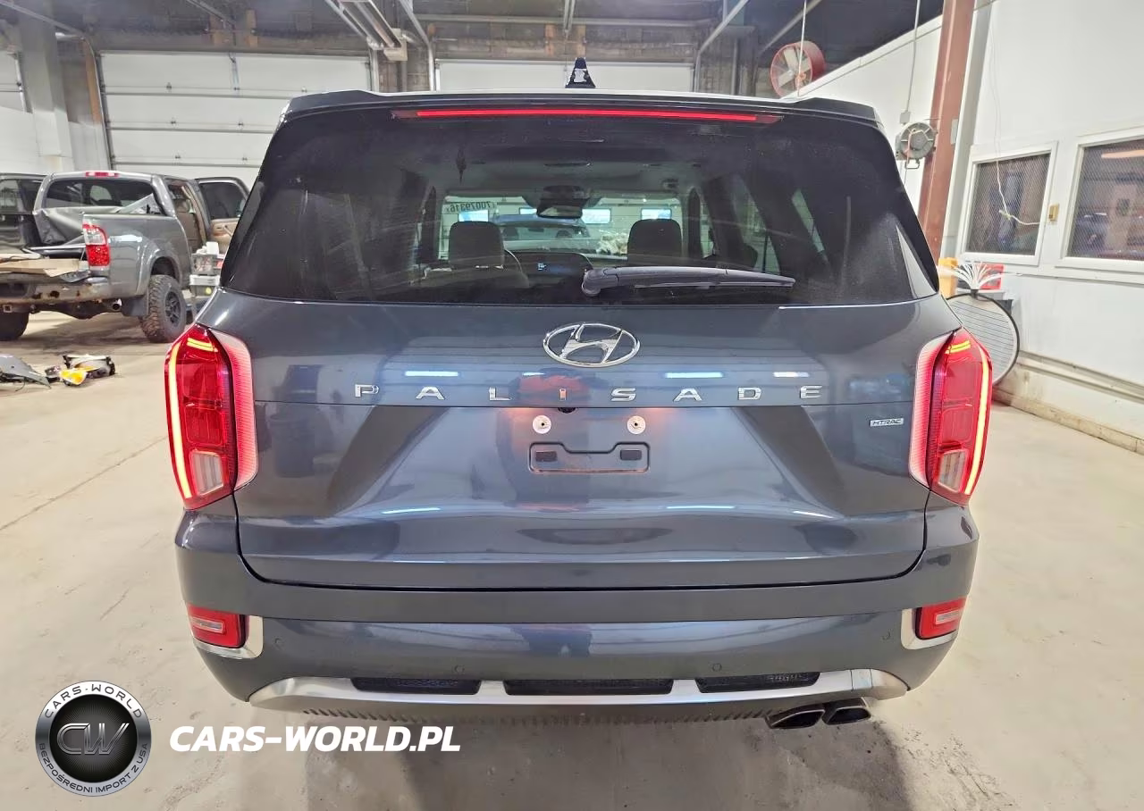 2022 Hyundai Palisade Calligraphy VIN:KM8R7DHE7NU404810 - 6