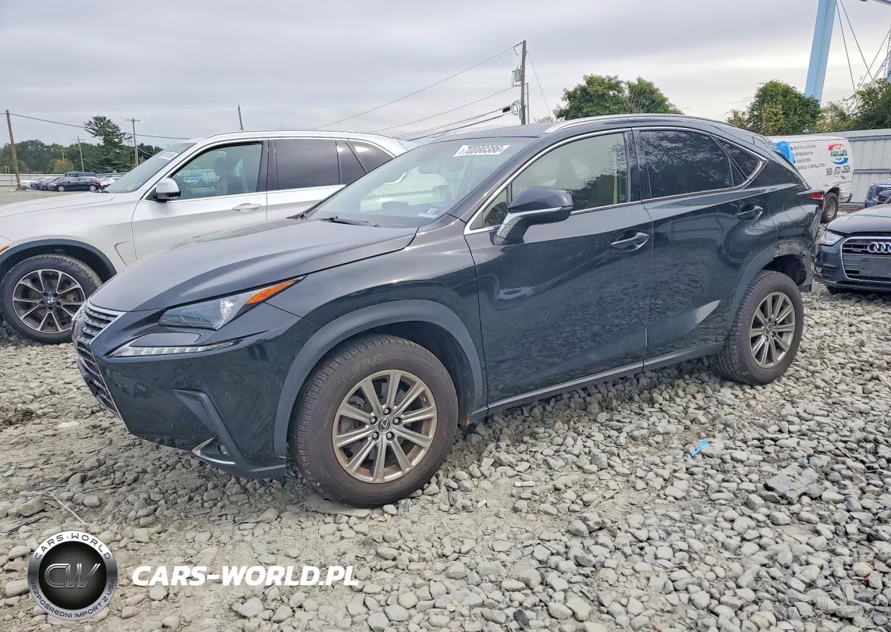 2020 Lexus Nx 300