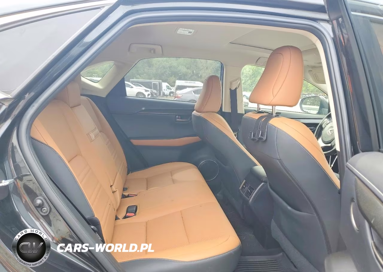 2020 Lexus Nx 300 VIN:JTJDARDZ4L5009445 - 11