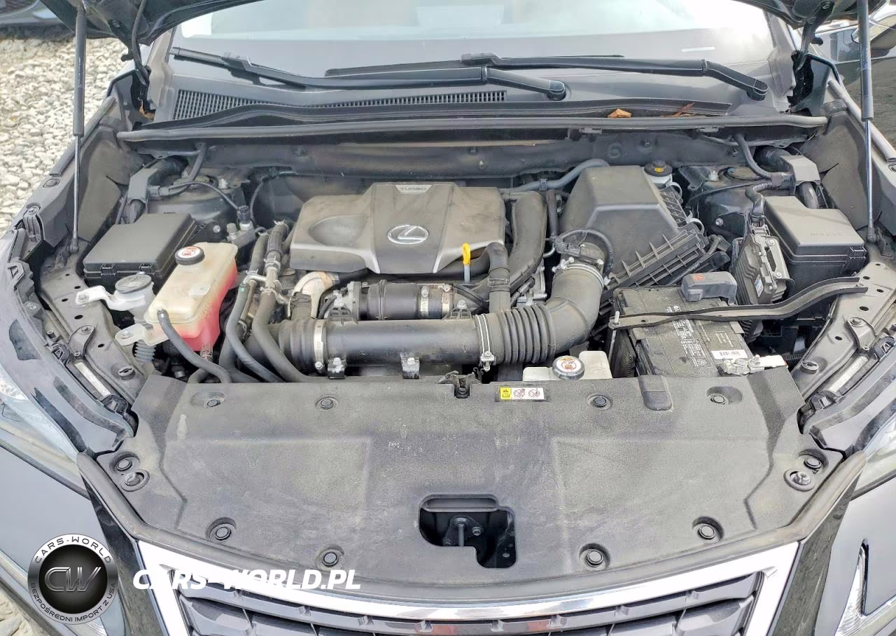 2020 Lexus Nx 300 VIN:JTJDARDZ4L5009445 - 12