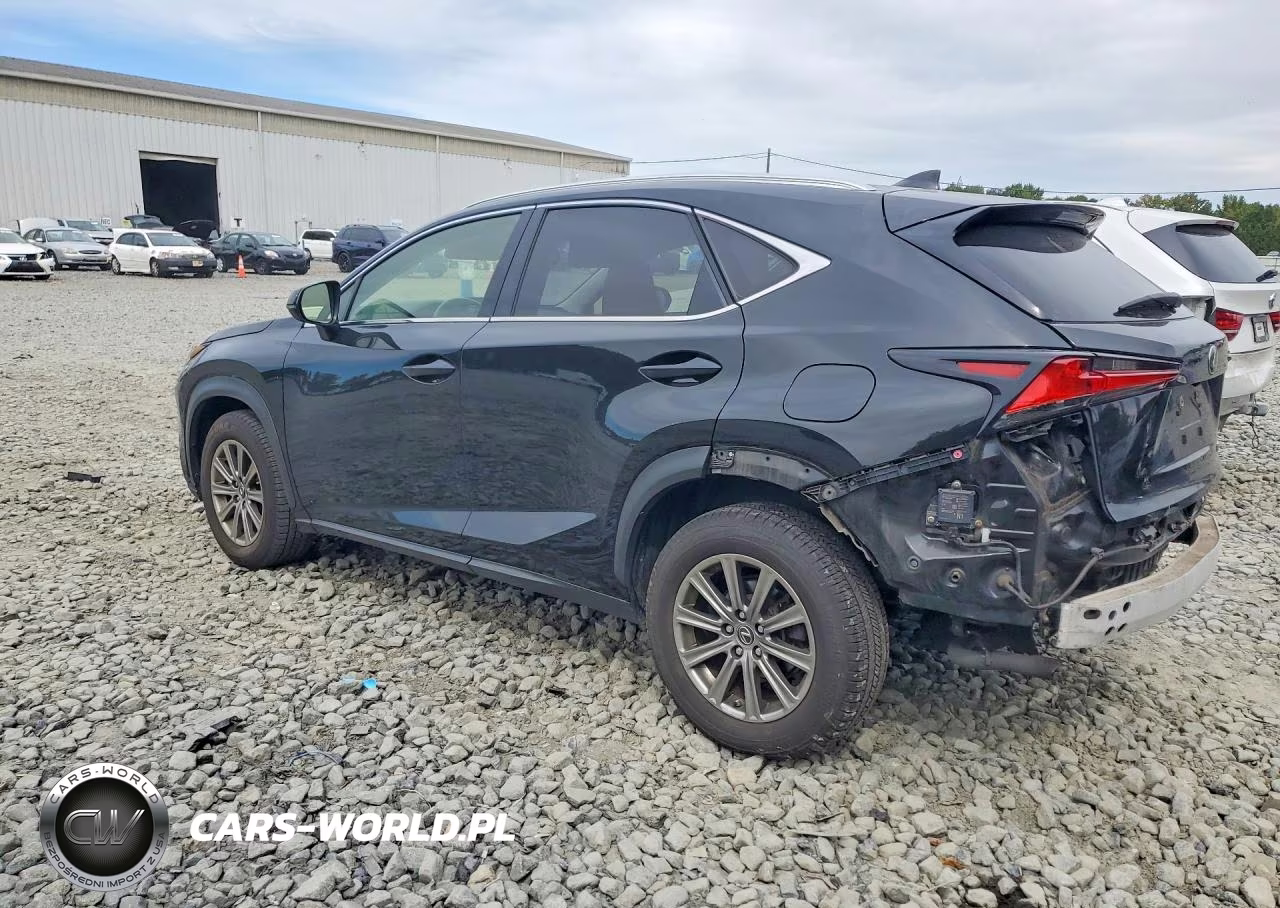 2020 Lexus Nx 300 VIN:JTJDARDZ4L5009445 - 2