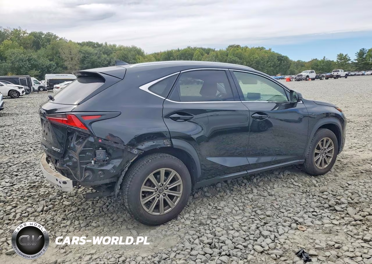2020 Lexus Nx 300 VIN:JTJDARDZ4L5009445 - 3