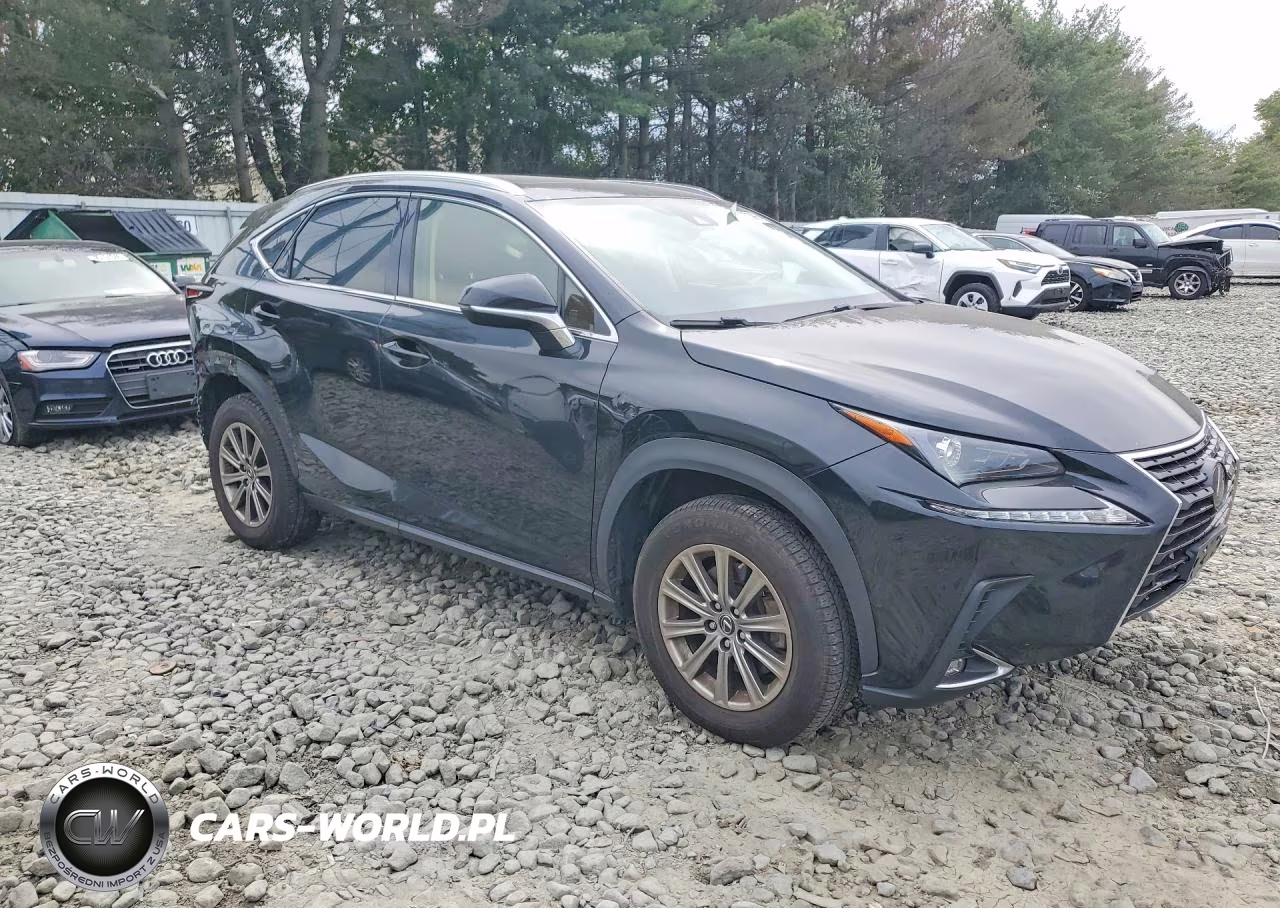 2020 Lexus Nx 300 VIN:JTJDARDZ4L5009445 - 4