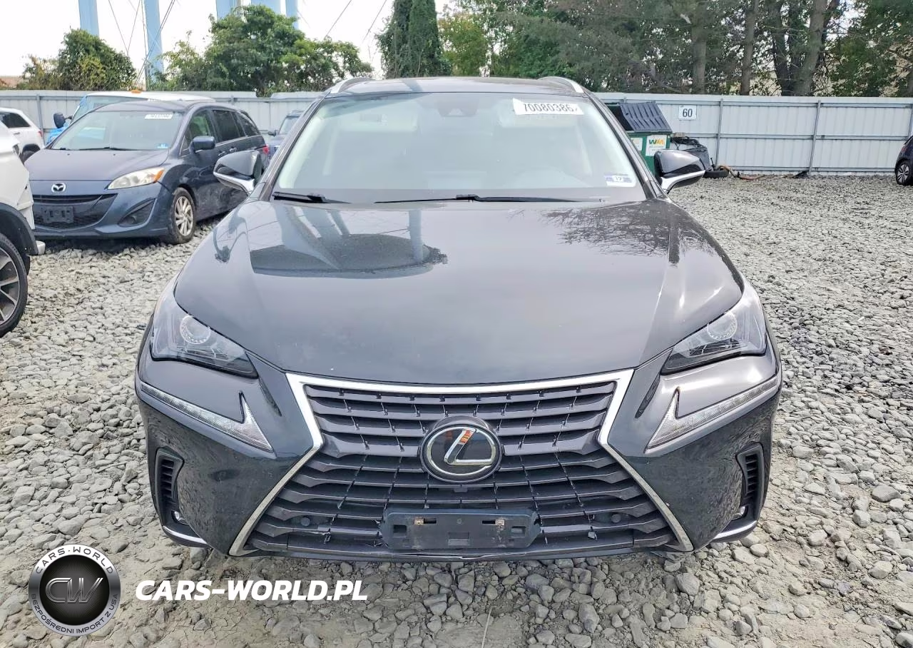 2020 Lexus Nx 300 VIN:JTJDARDZ4L5009445 - 5