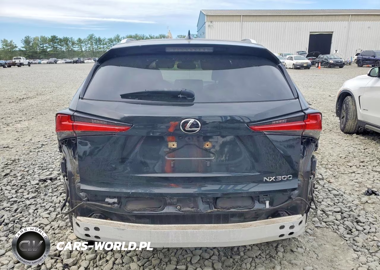 2020 Lexus Nx 300 VIN:JTJDARDZ4L5009445 - 6