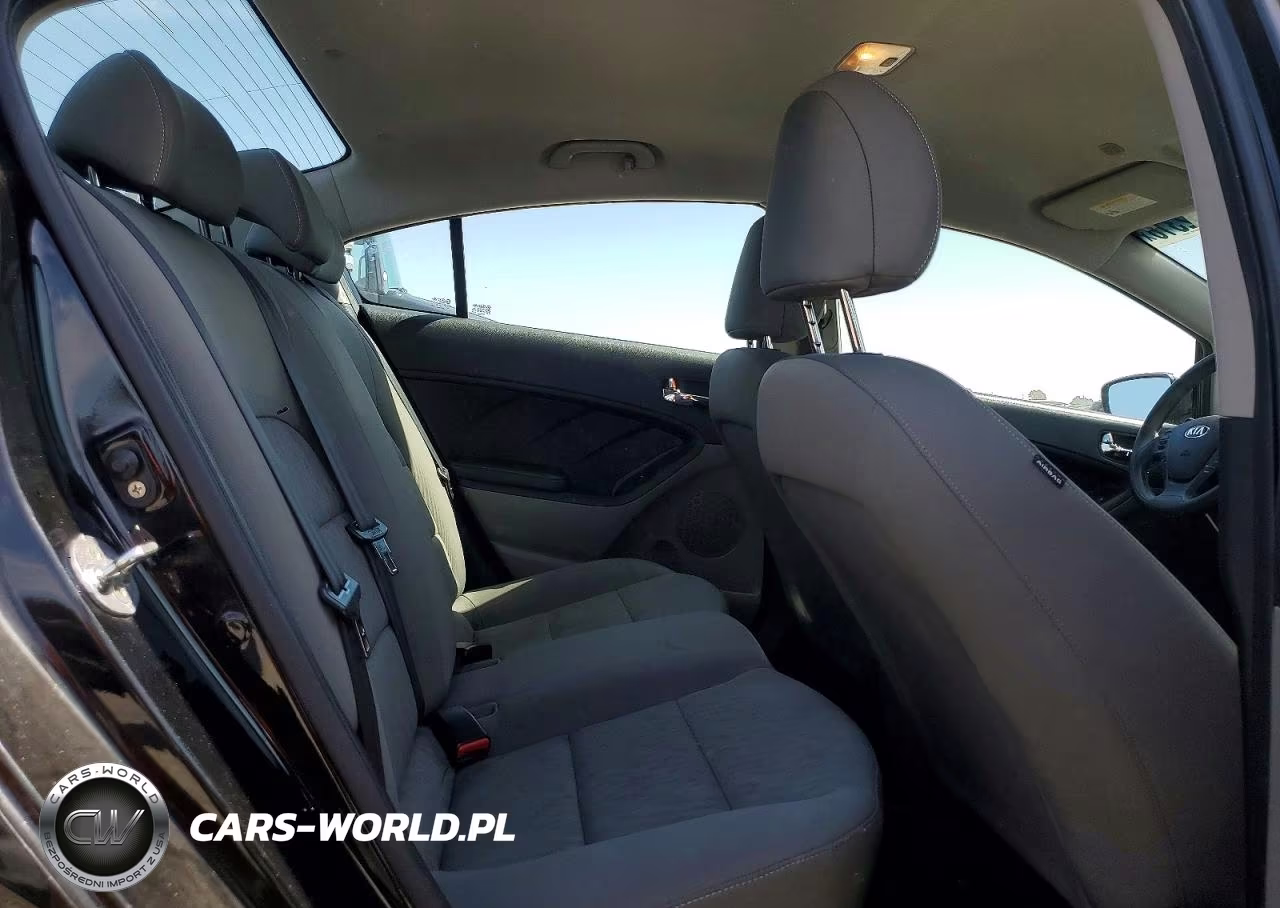 2015 Kia Forte Lx VIN:KNAFK4A69F5421349 - 10