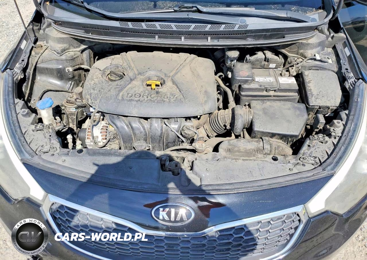 2015 Kia Forte Lx VIN:KNAFK4A69F5421349 - 11