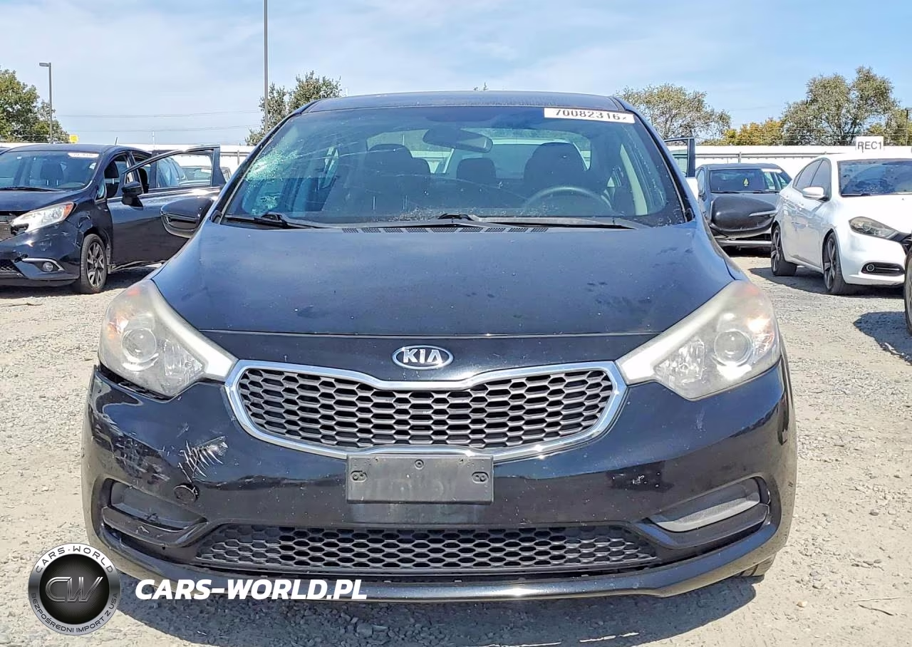 2015 Kia Forte Lx VIN:KNAFK4A69F5421349 - 5