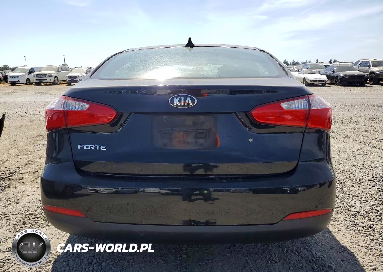 2015 Kia Forte Lx VIN:KNAFK4A69F5421349 - 6