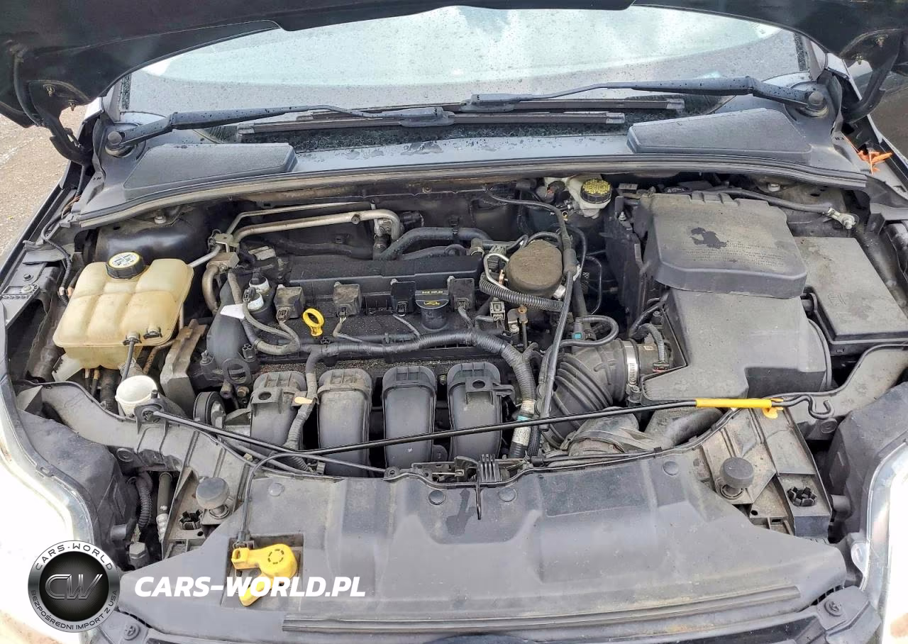 2012 Ford Focus Sel VIN:1FAHP3M25CL373894 - 11
