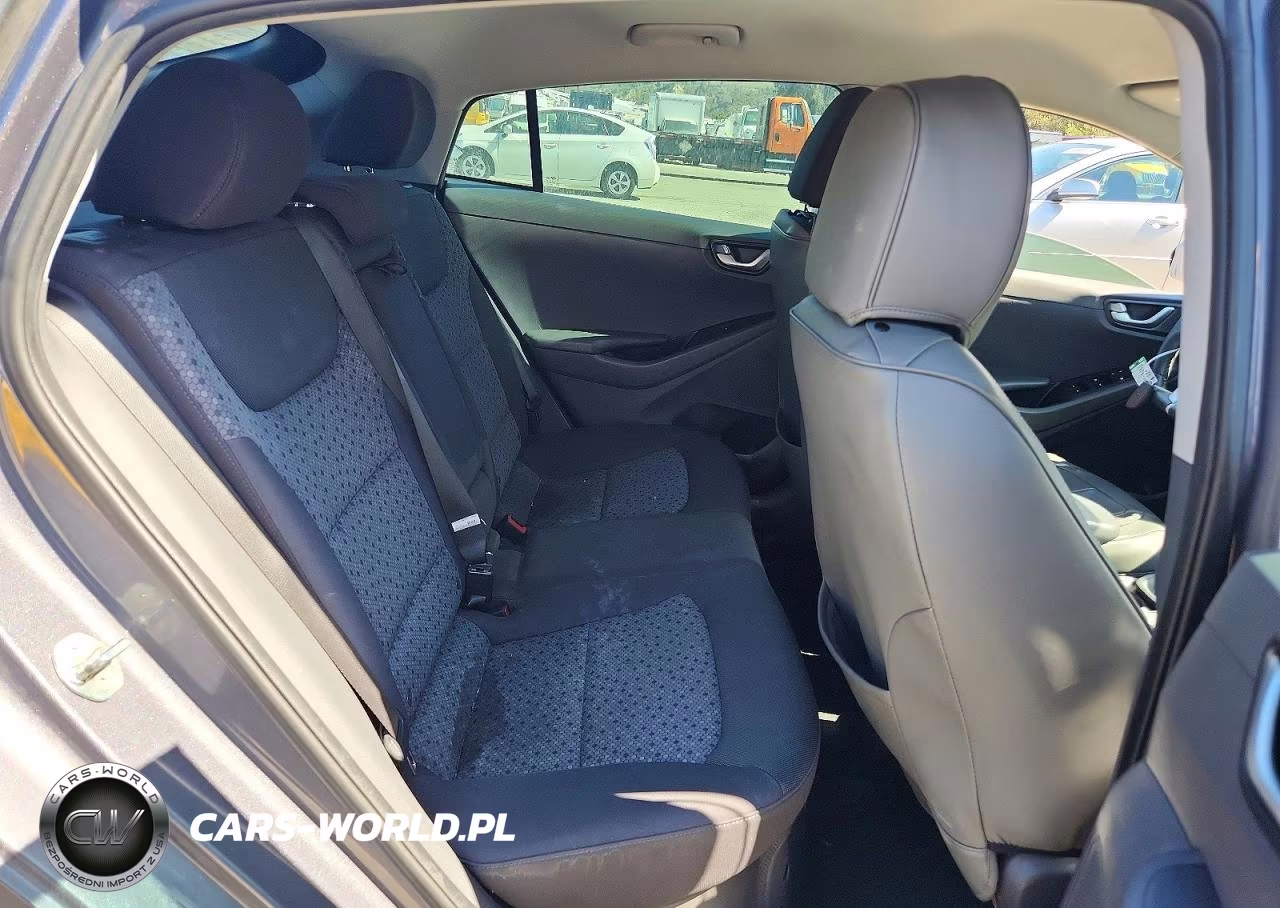 2017 Hyundai Ioniq Sel VIN:KMHC75LC3HU057675 - 10