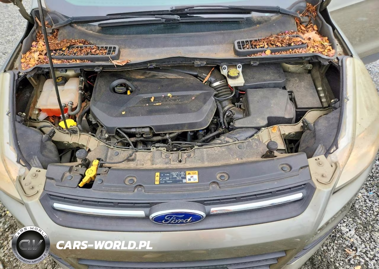 2014 Ford Escape Se VIN:1FMCU0GX8EUB49157 - 12