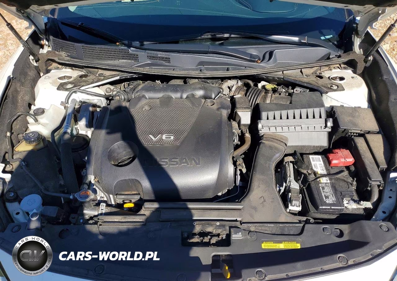 2019 Nissan Maxima 3.5 Sl VIN:1N4AA6AV4KC374164 - 11