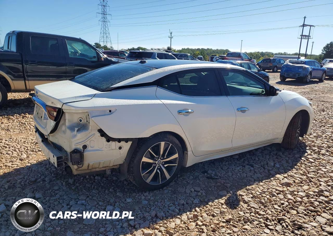 2019 Nissan Maxima 3.5 Sl VIN:1N4AA6AV4KC374164 - 3