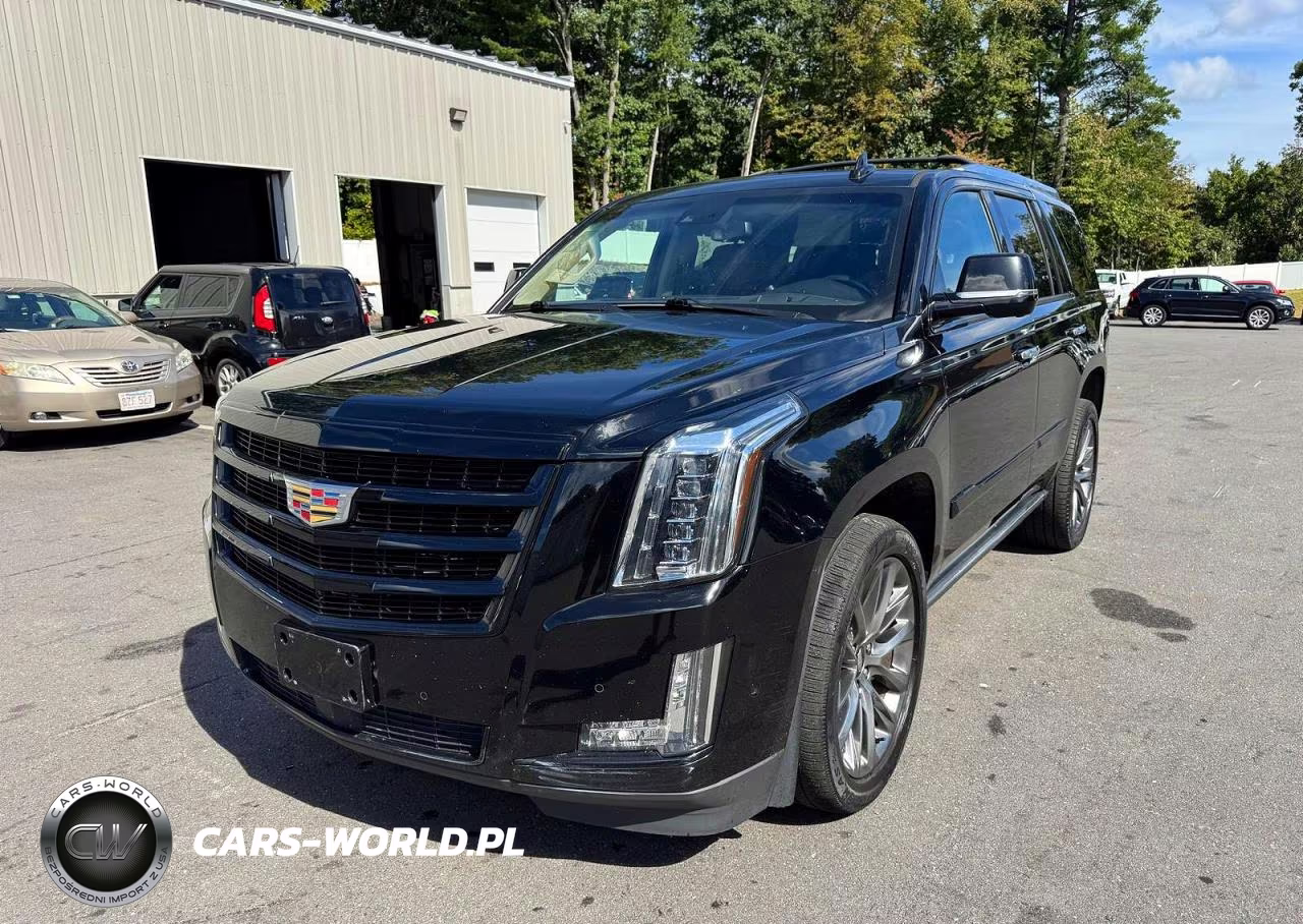 2019 Cadillac Escalade Premium Luxury VIN:1GYS4CKJ8KR349999 - 1