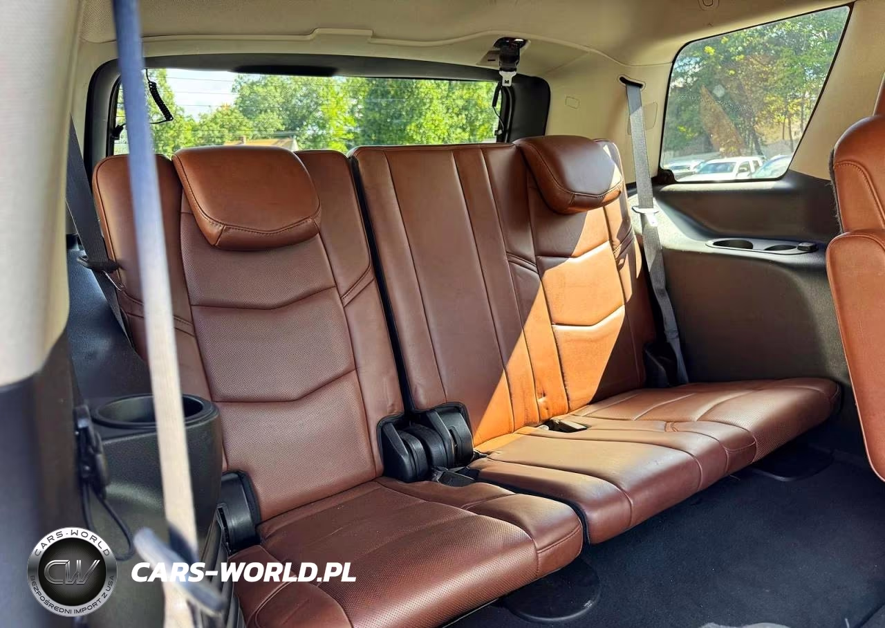 2019 Cadillac Escalade Premium Luxury VIN:1GYS4CKJ8KR349999 - 11
