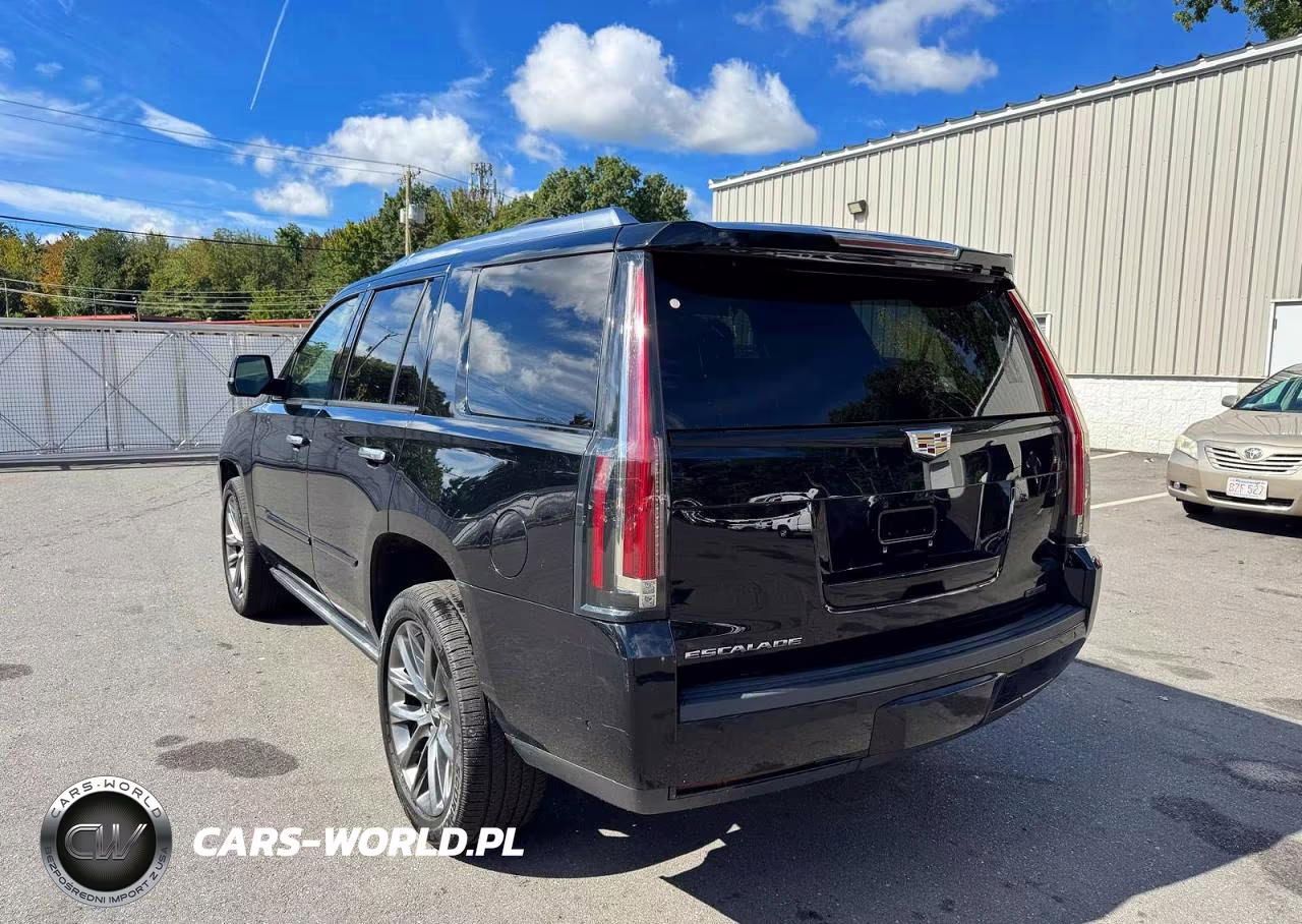 2019 Cadillac Escalade Premium Luxury VIN:1GYS4CKJ8KR349999 - 2