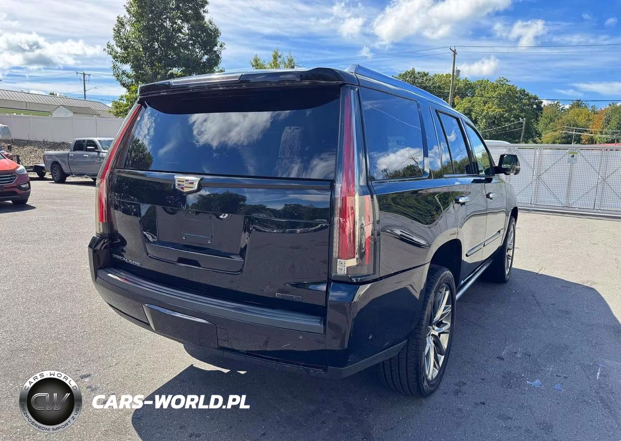 2019 Cadillac Escalade Premium Luxury VIN:1GYS4CKJ8KR349999 - 3