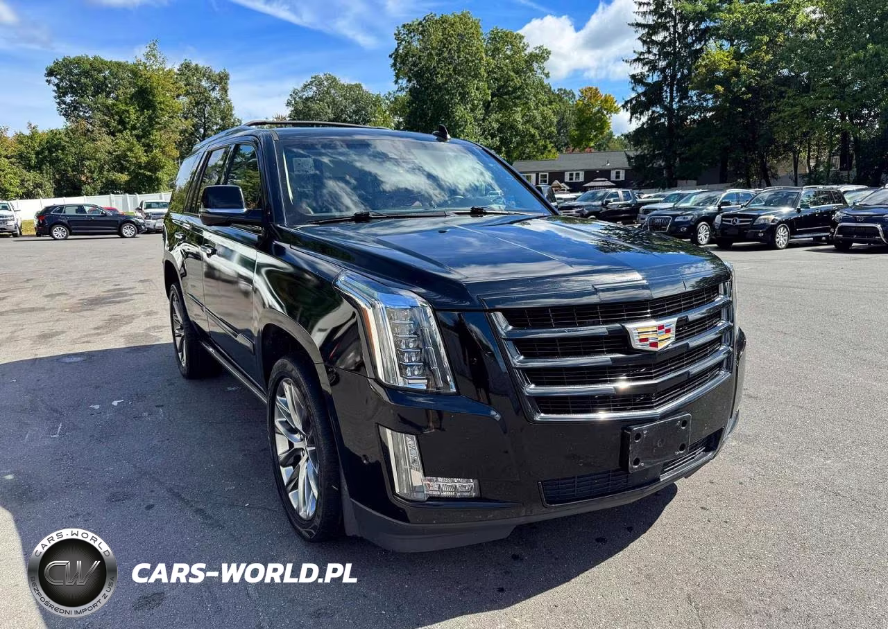 2019 Cadillac Escalade Premium Luxury VIN:1GYS4CKJ8KR349999 - 4