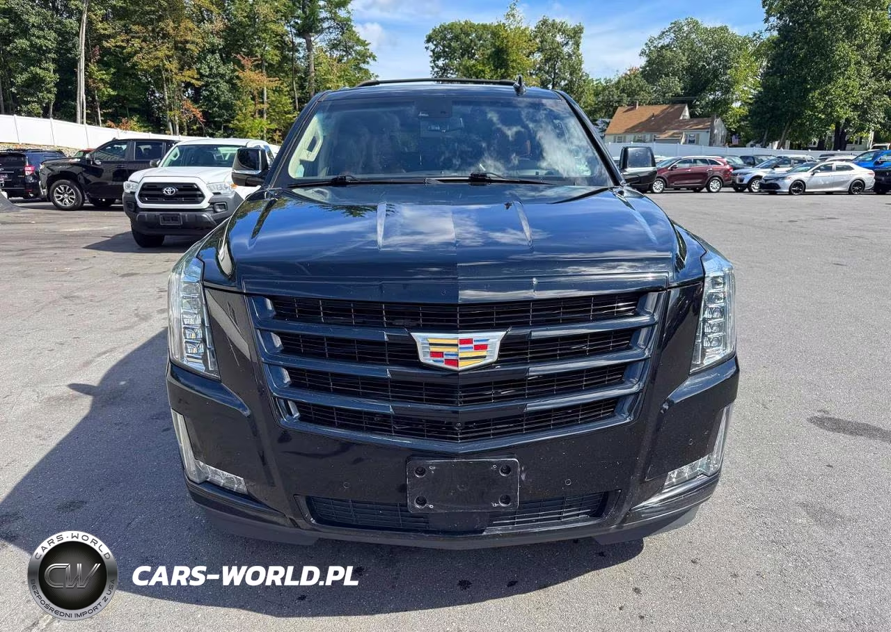 2019 Cadillac Escalade Premium Luxury VIN:1GYS4CKJ8KR349999 - 5