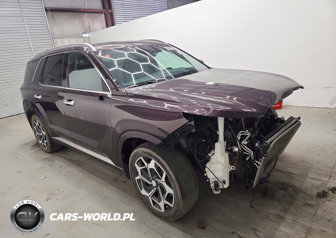 2022 Hyundai Palisade Calligraphy VIN:KM8R7DHE2NU447161 - 4