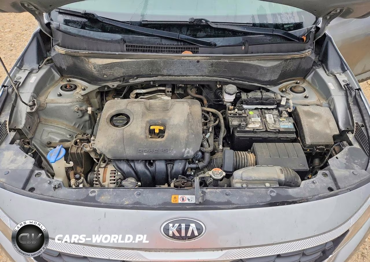 2021 Kia Seltos Lx VIN:KNDEPCAA7M7103018 - 11