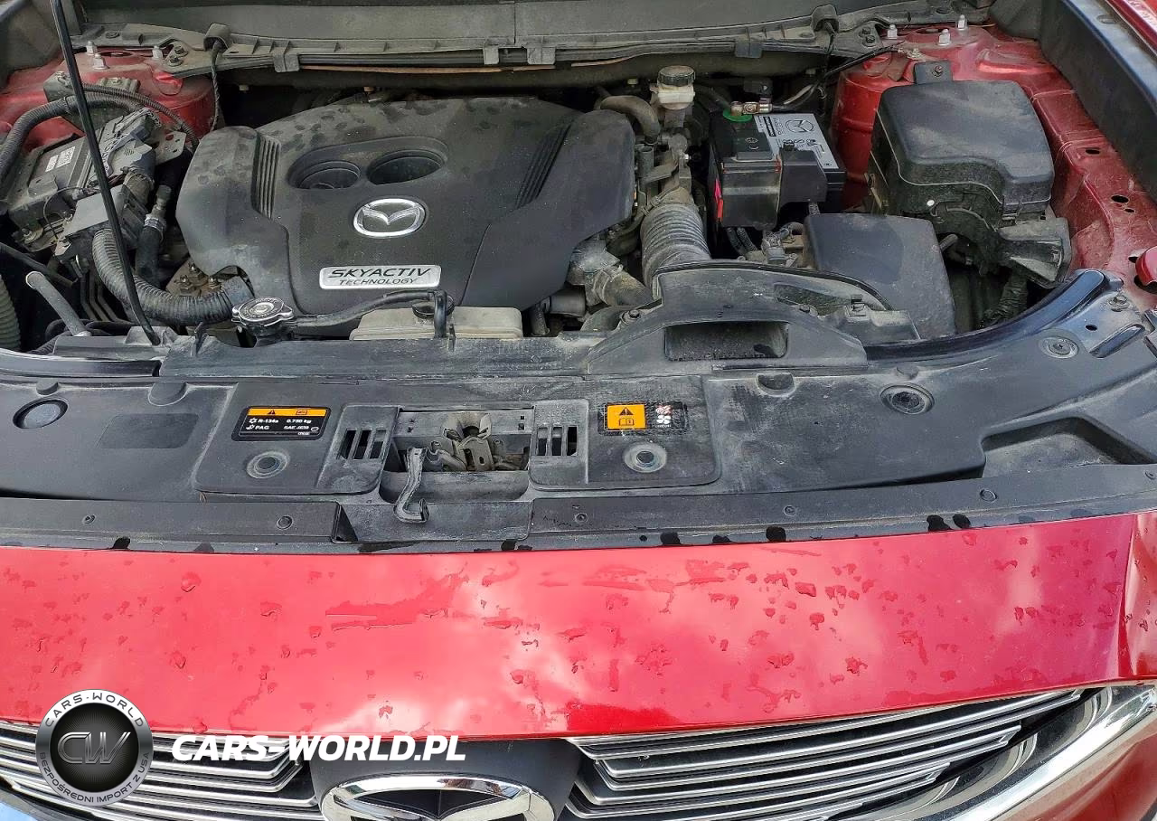 2016 Mazda Cx-9 Touring VIN:JM3TCACY8G0117967 - 12