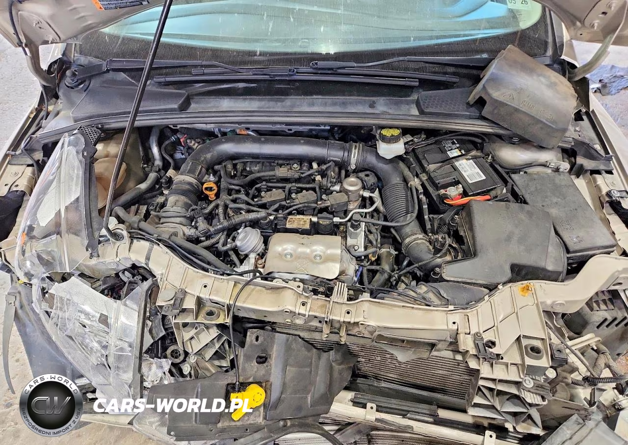 2018 Ford Focus Se VIN:1FADP3FE6JL220394 - 11