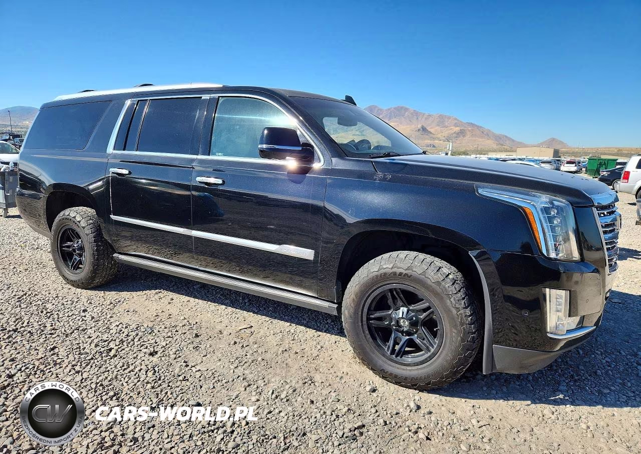 2017 Cadillac Escalade Esv Platinum VIN:1GYS4KKJ3HR214996 - 4