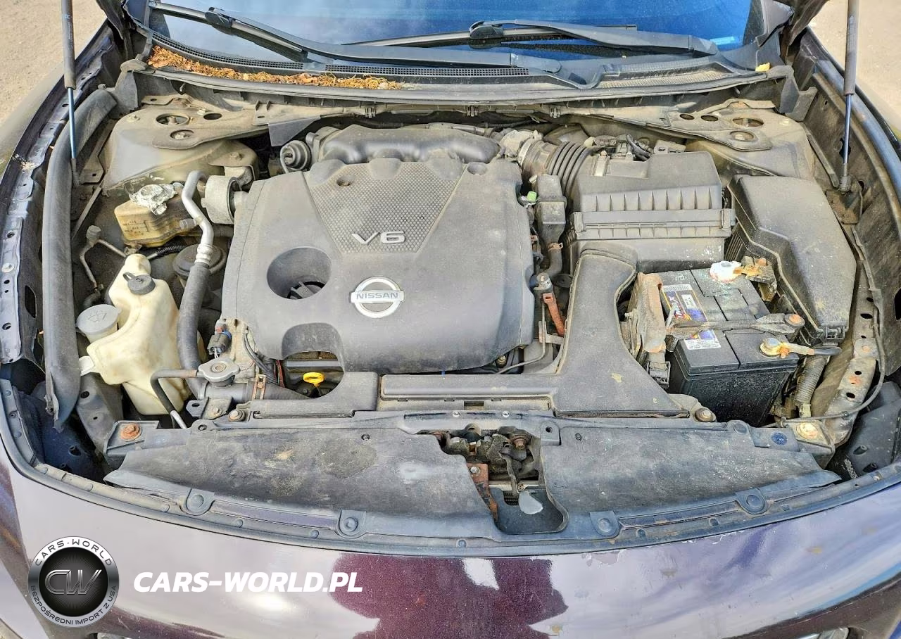 2010 Nissan Maxima VIN:1N4AA5AP0AC832387 - 11