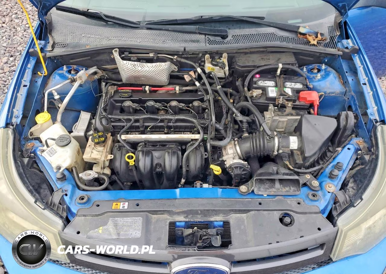 2010 Ford Focus Ses VIN:1FAHP3GN5AW142723 - 11