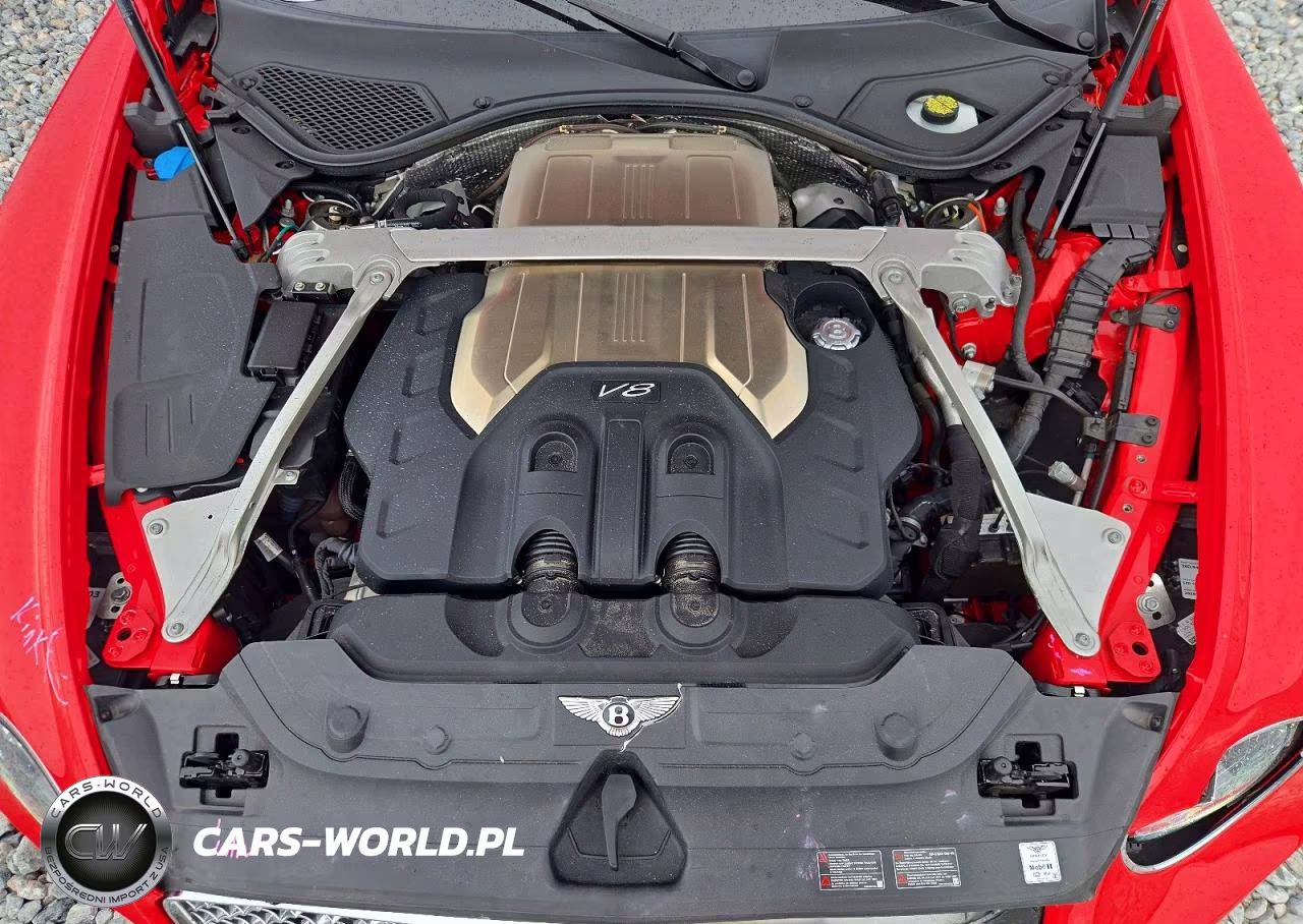 2020 Bentley Continental Gt VIN:SCBCG2ZG9LC075905 - 11
