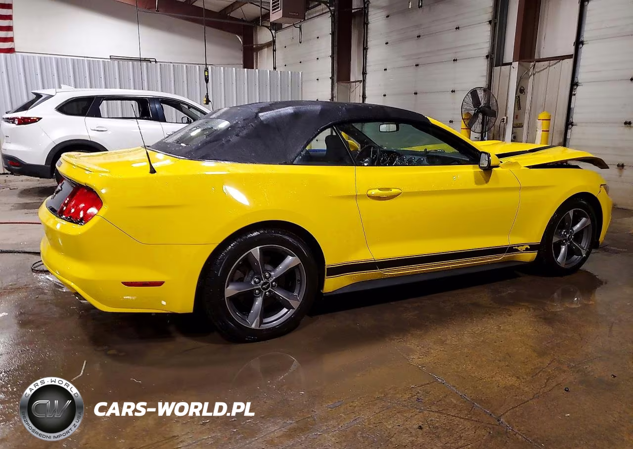 2015 Ford Mustang VIN:1FATP8EM5F5353161 - 3