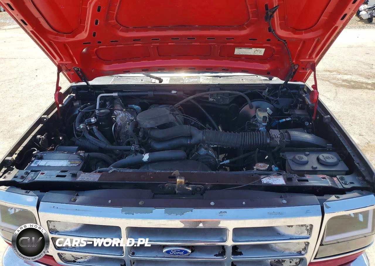1994 Ford F150 VIN:1FTEX15N6RKC00717 - 11
