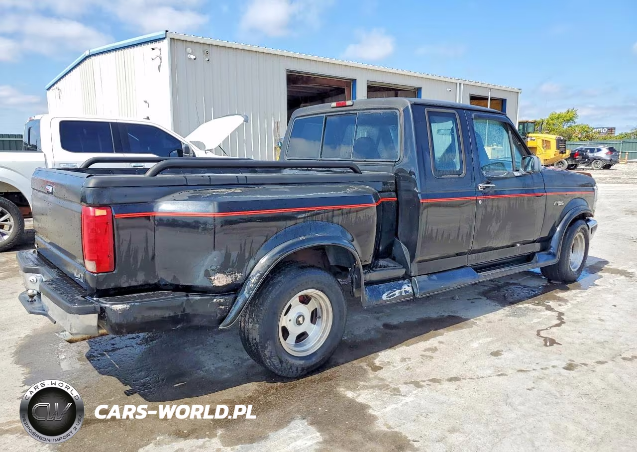 1994 Ford F150 VIN:1FTEX15N6RKC00717 - 3