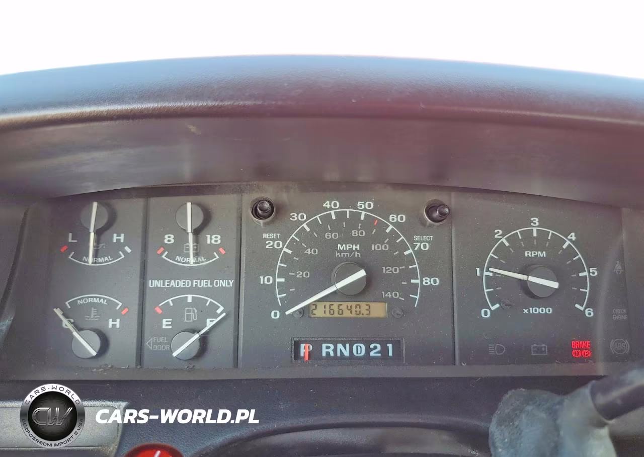 1994 Ford F150 VIN:1FTEX15N6RKC00717 - 9