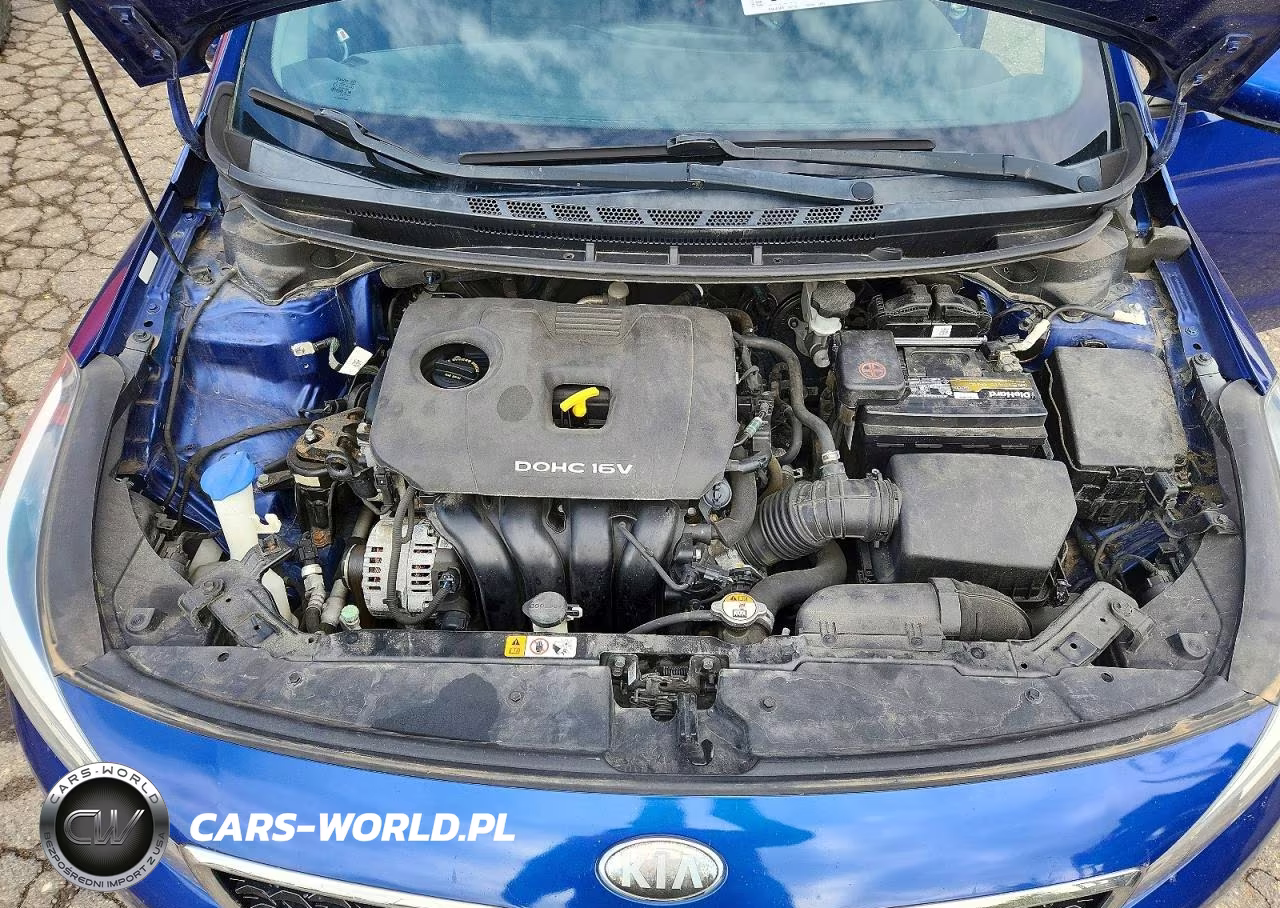 2017 Kia Forte Lx VIN:3KPFL4A71HE147273 - 11