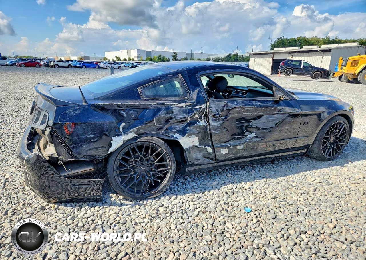 2014 Ford Mustang VIN:1ZVBP8AM0E5325064 - 3