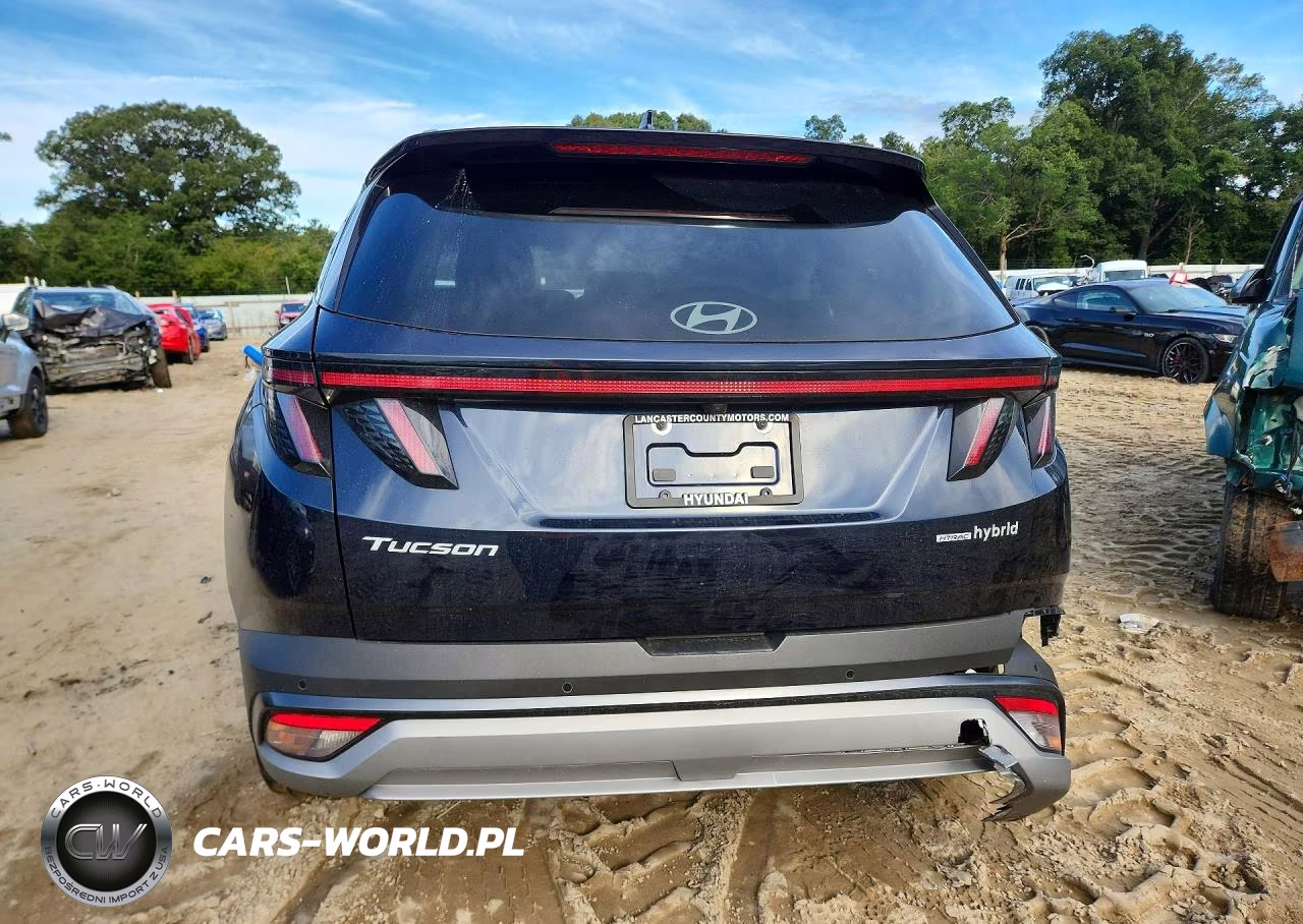 2025 Hyundai Tucson Limited VIN:KM8JEDD14SU287916 - 6