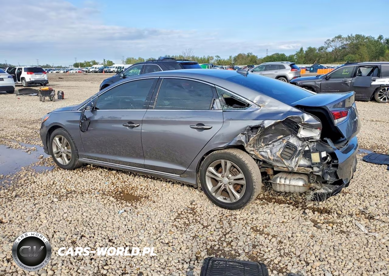2018 Hyundai Sonata Sport+ VIN:5NPE34AFXJH710020 - 2