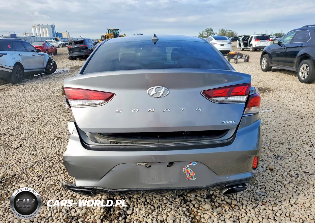 2018 Hyundai Sonata Sport+ VIN:5NPE34AFXJH710020 - 6