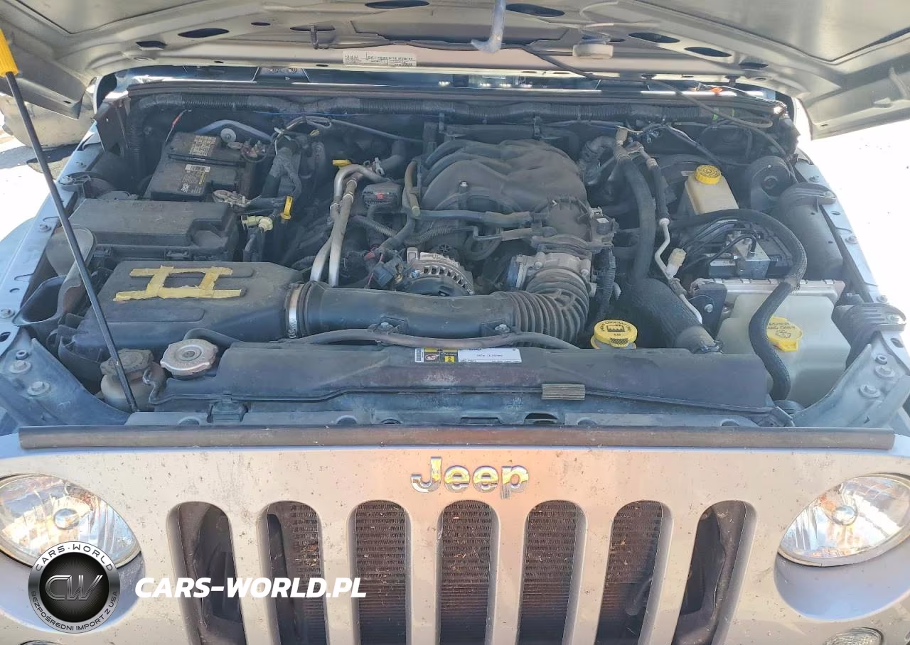 2016 Jeep Wrangler Unlimited Sport VIN:1C4BJWDG5GL197076 - 11