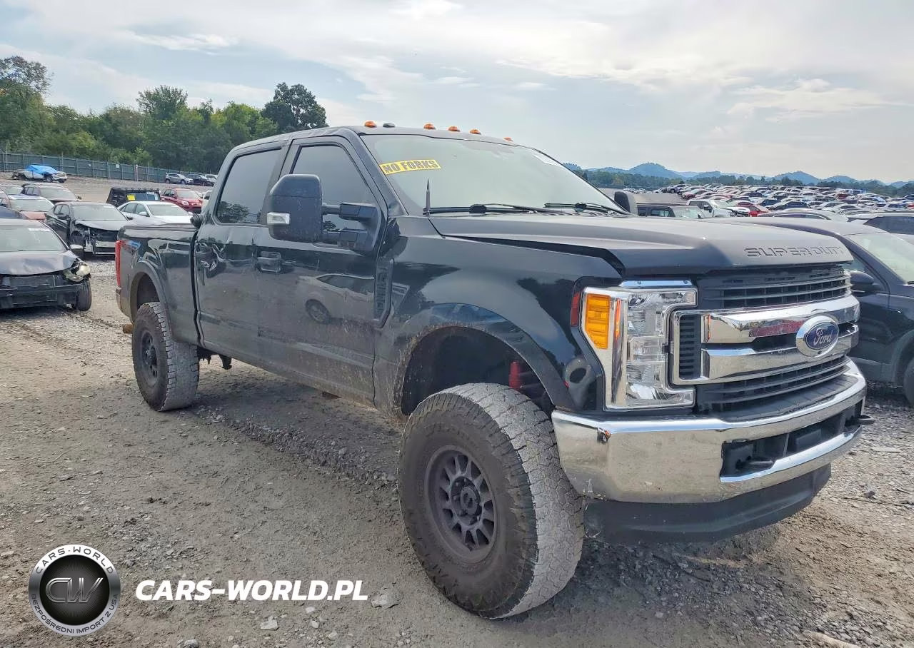 2017 Ford F250 Super Duty VIN:1FT7W2B69HEF29066 - 4