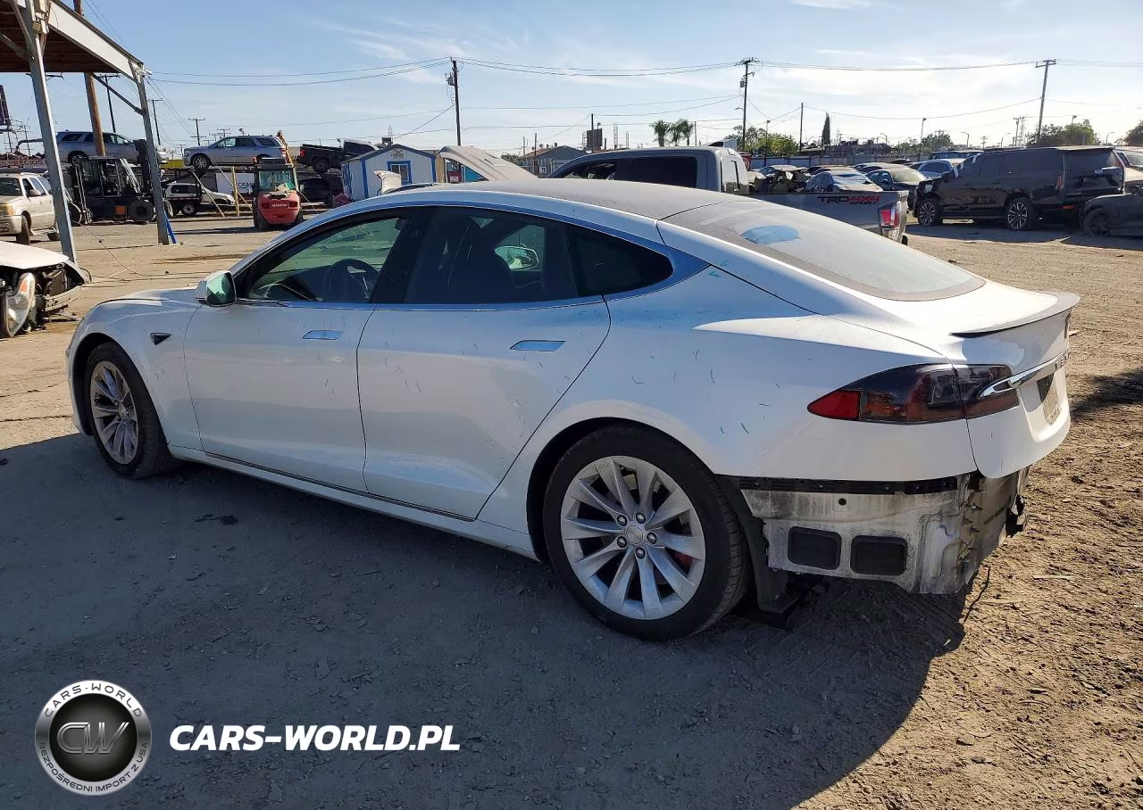 2020 Tesla Model S VIN:5YJSA1E43LF364975 - 2