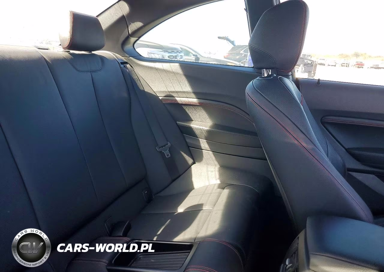 2017 BMW 230Xi VIN:WBA2H9C39HV642630 - 10