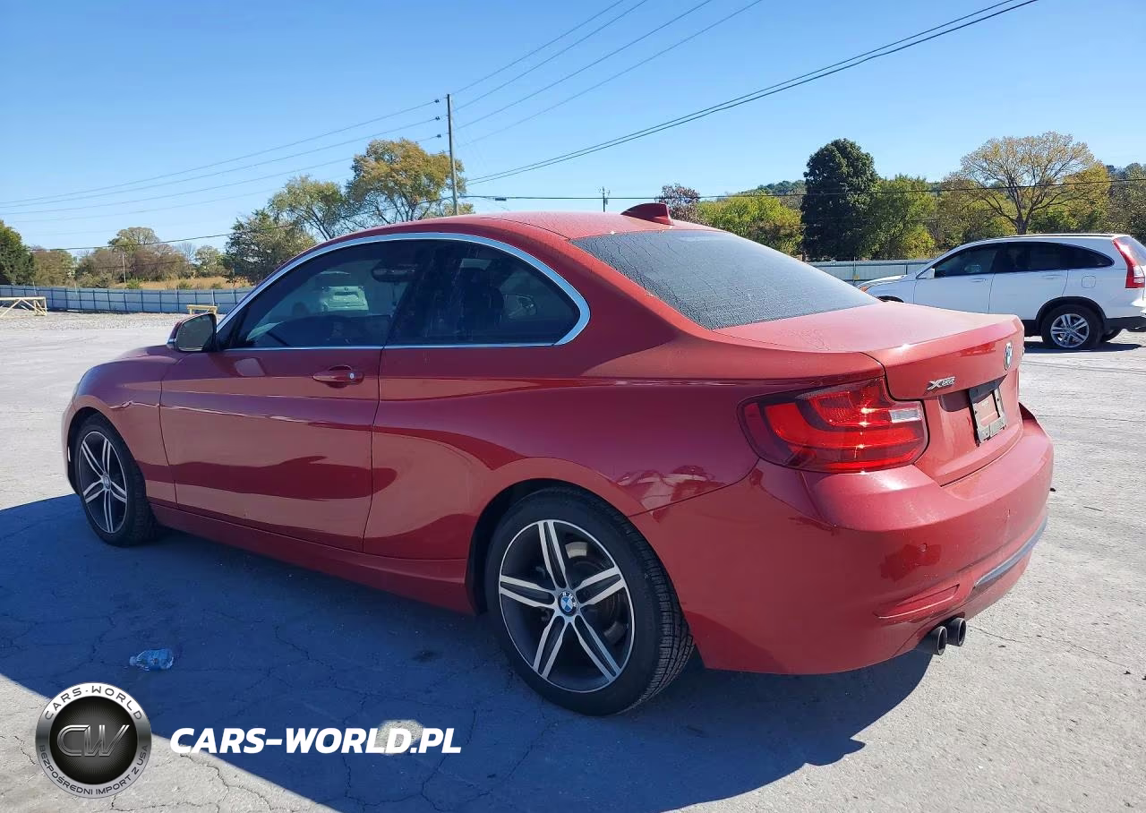 2017 BMW 230Xi VIN:WBA2H9C39HV642630 - 2