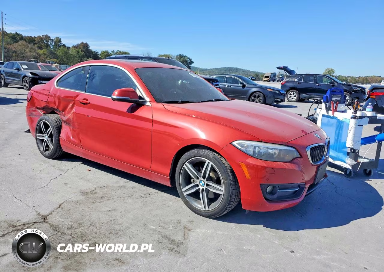 2017 BMW 230Xi VIN:WBA2H9C39HV642630 - 4