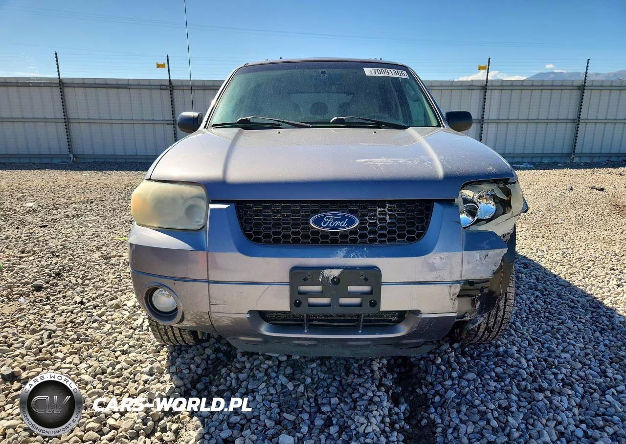 2007 Ford Escape Limited VIN:1FMCU941X7KA40461 - 5